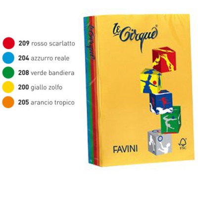 CARTA COLORATA A4 80 GR. 500 FG 5 COL. FORTI ASSOR